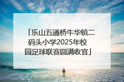 乐山五通桥牛华镇二码头小学2025年校园足球联赛圆满收官
